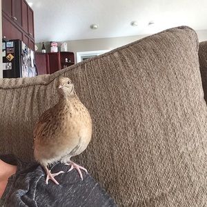 Meet your Posher, Lori